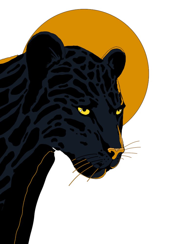 Black Panther