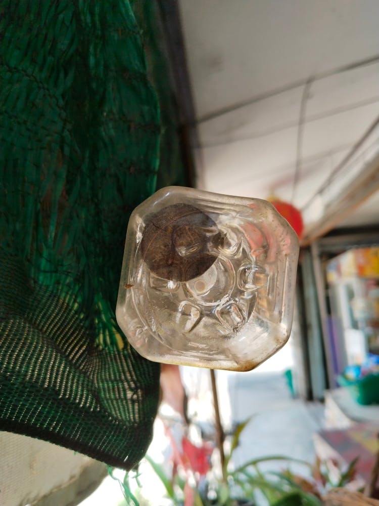 hanging swallowing bottle