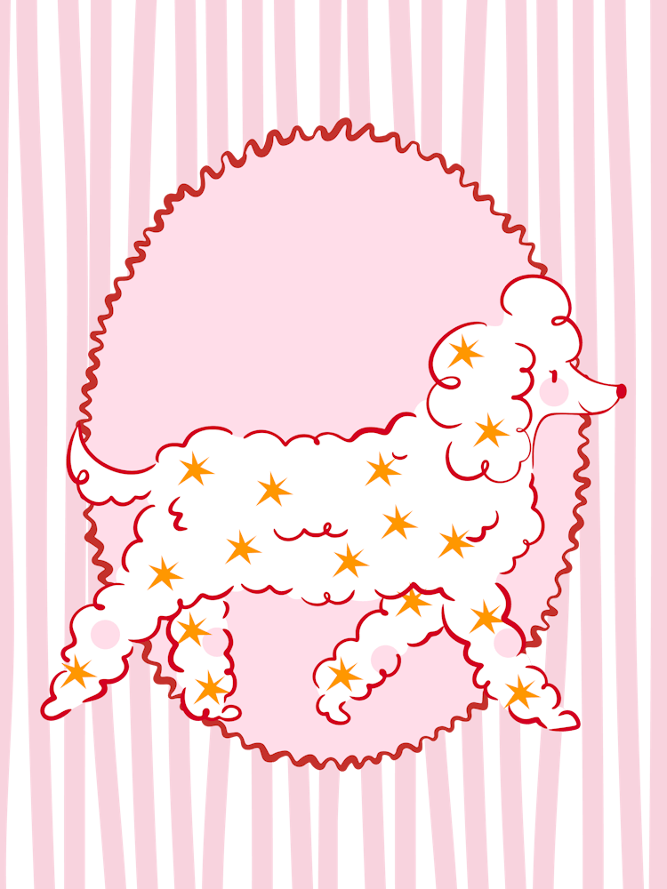Poodle On A Striped Background