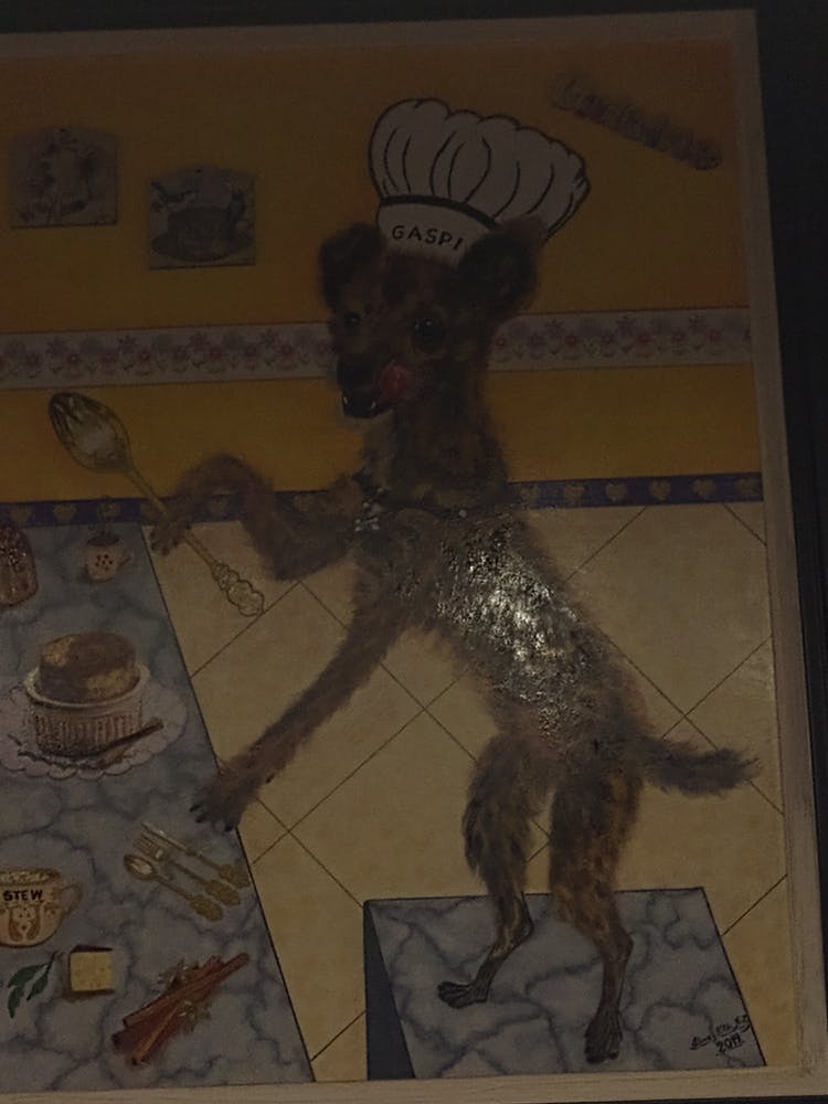 perro cocinando