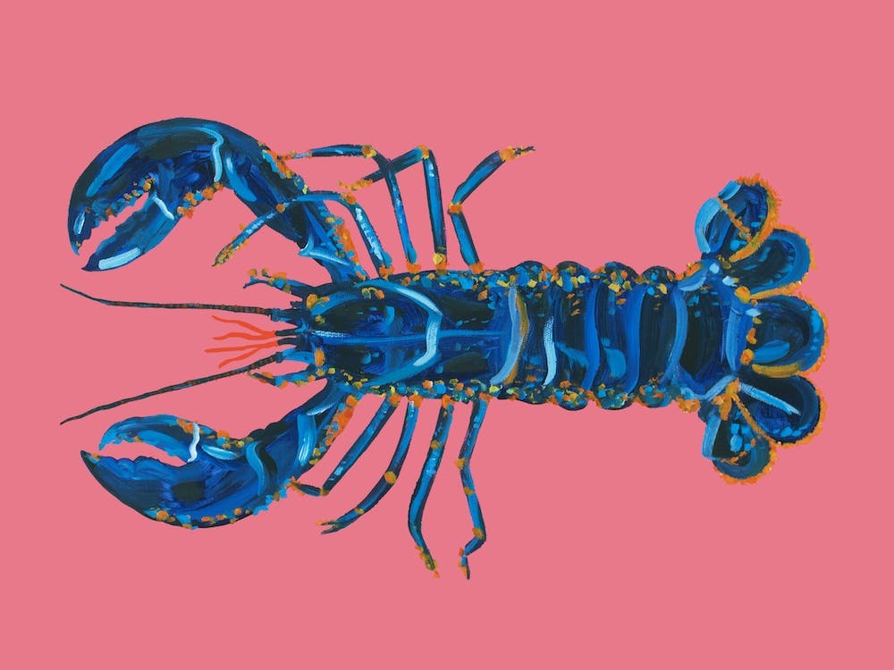 Lobster On Pink
