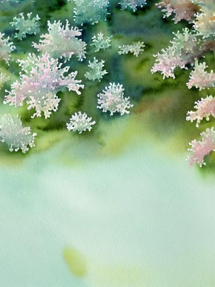 Acropora Gemmifera Storybook Watercolour