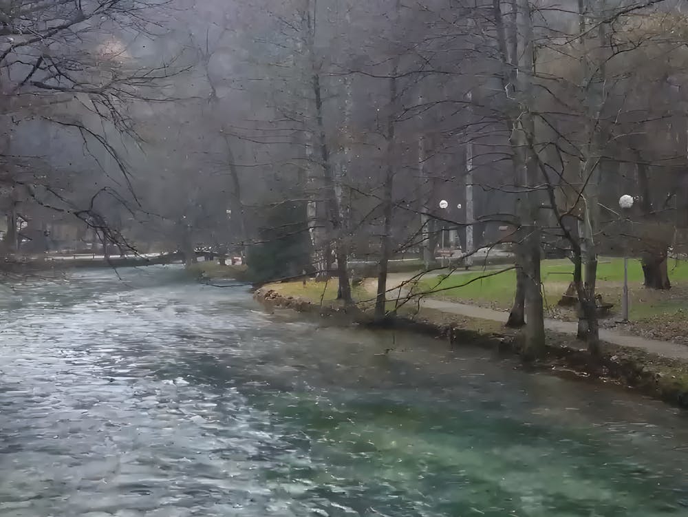 A Natural View Of The River Meeting With Trees