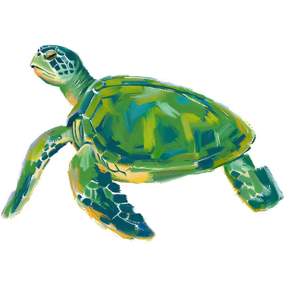 Green Sea Turtle 05