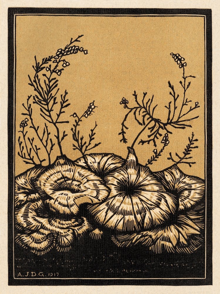 Blossoming Plants, Julie De Graag