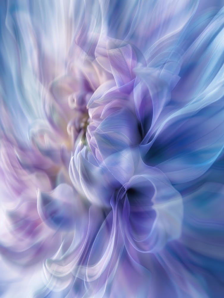 Poster ICM Blume 1