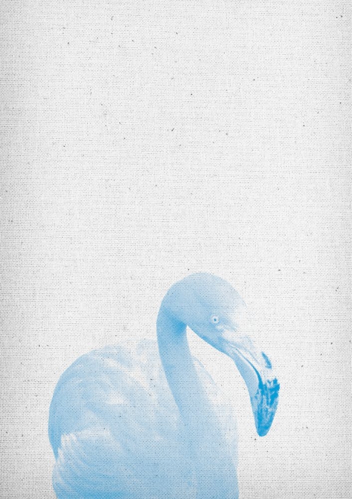 Froilein Flamingo IV