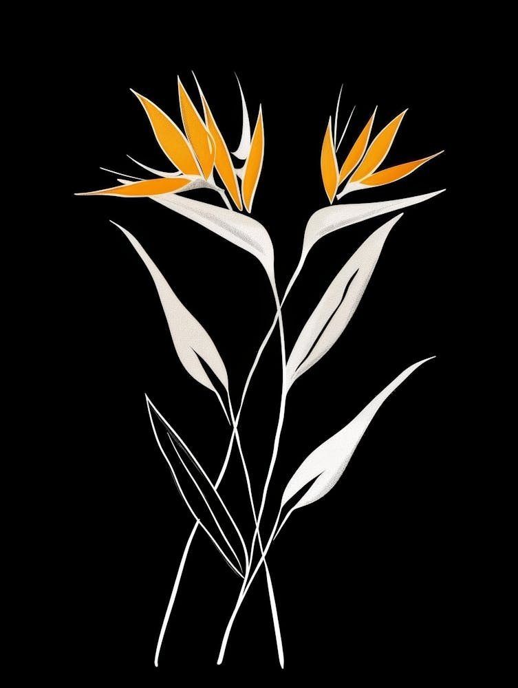 Bird Of Paradise 65