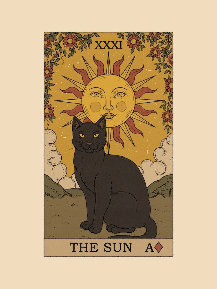 The Sun Cat