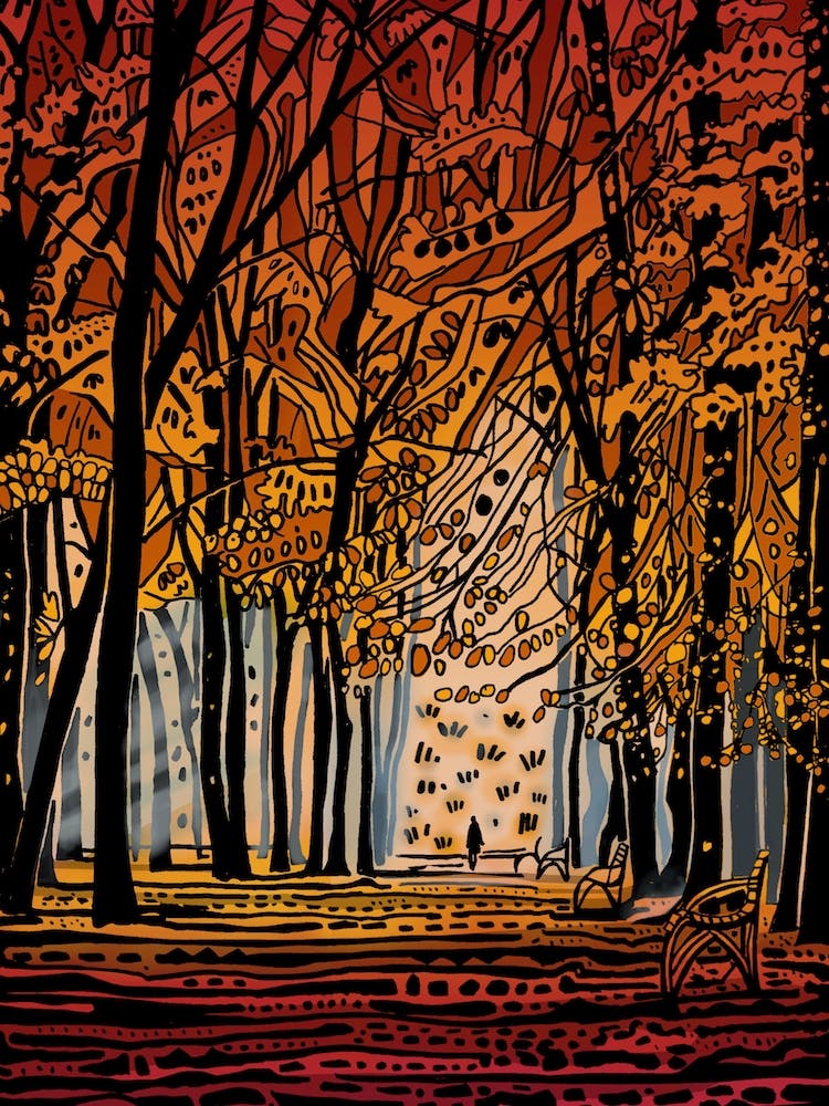 Autumn Forest