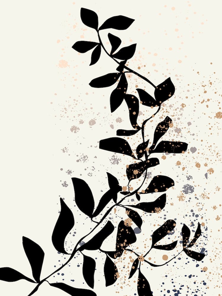 Climbing Branch Black White