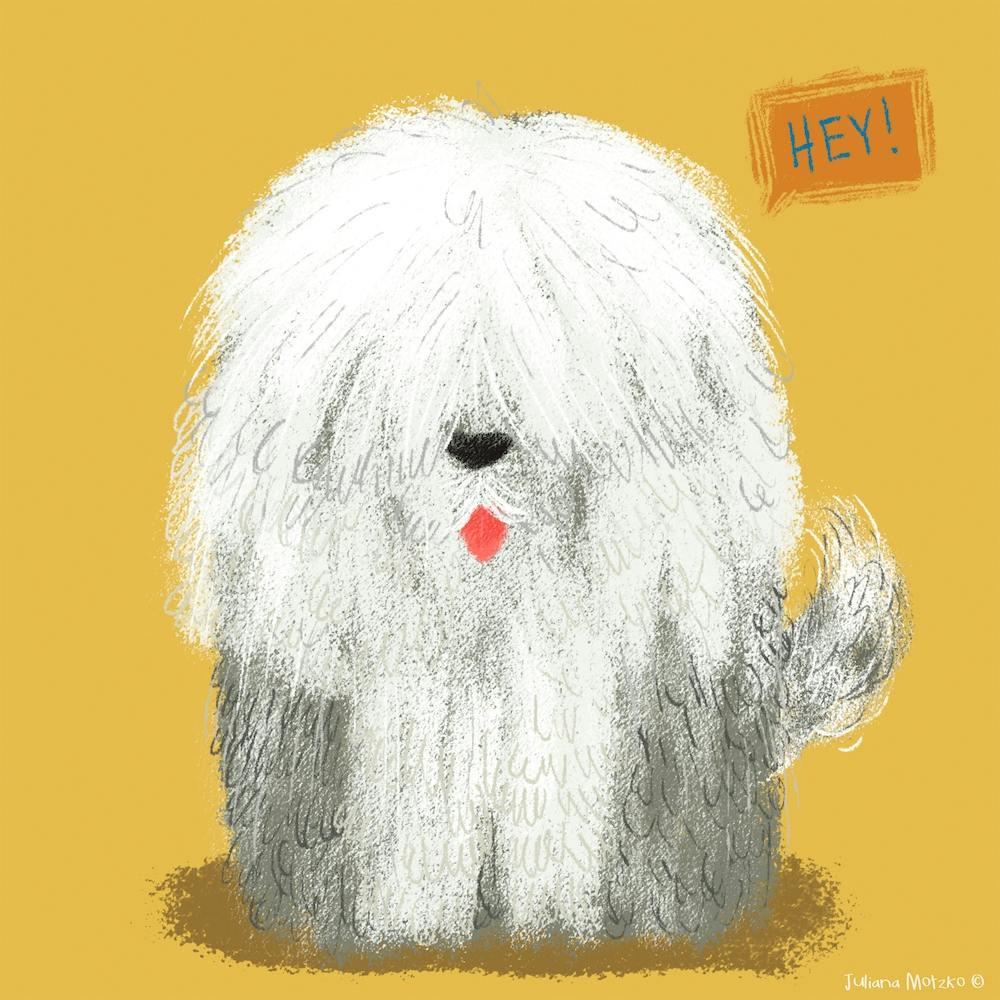 Old English Sheepdog