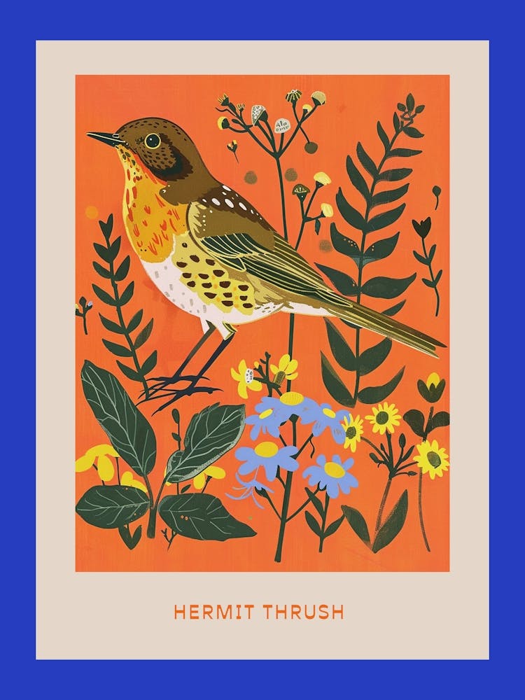 Spring Birds Poster Hermit Thrush 2