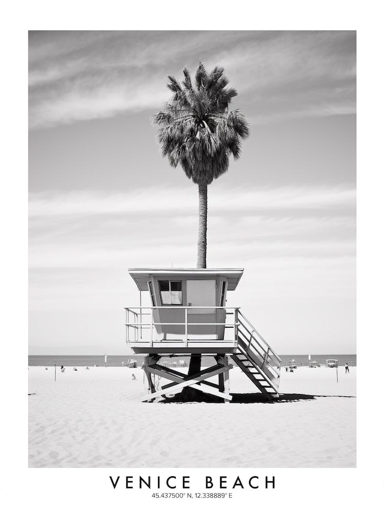Poster Of Venice Beach, Black And White Analogue Photograph 1