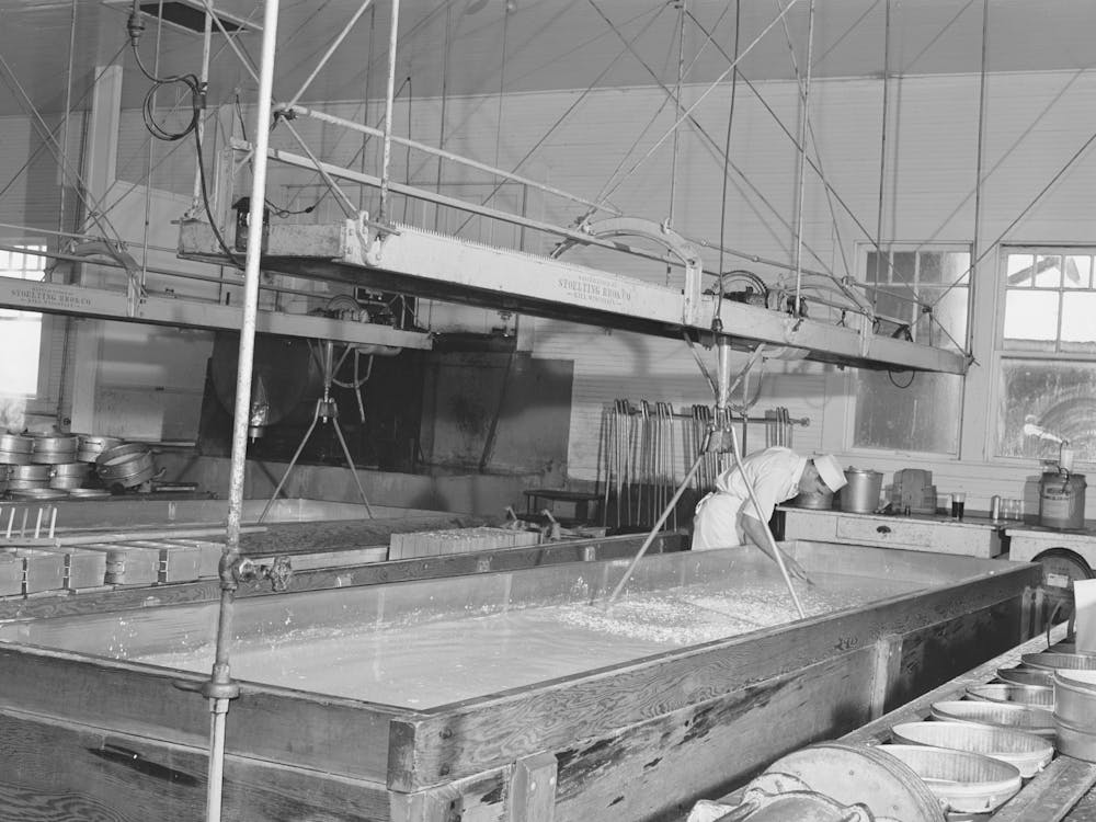 Tillamook Cheese Plant, Tillamook County, Oregon, A Lactic Ferment Starter Is Added When The Milk Is Poured Into