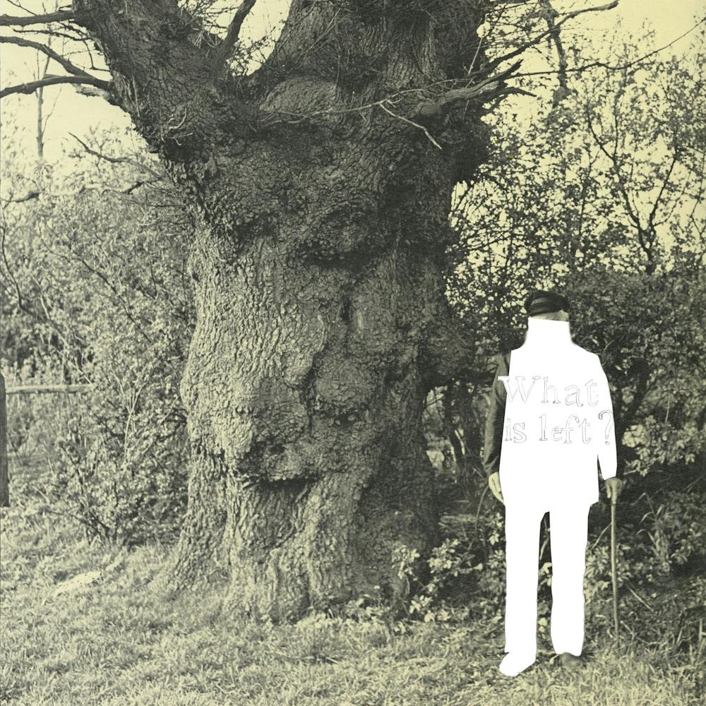 Beziehung · The Old Tree