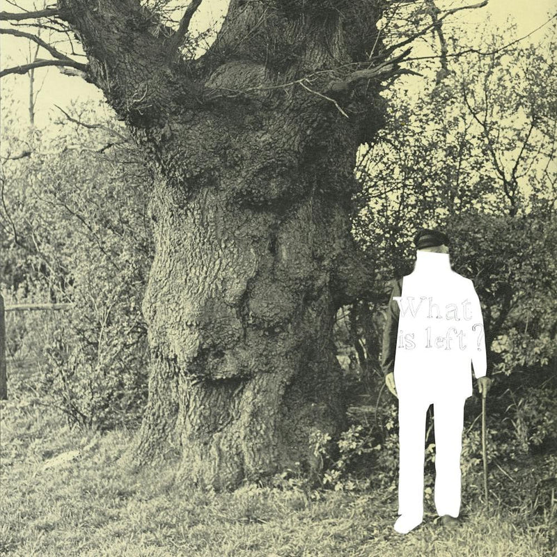 Beziehung · The Old Tree