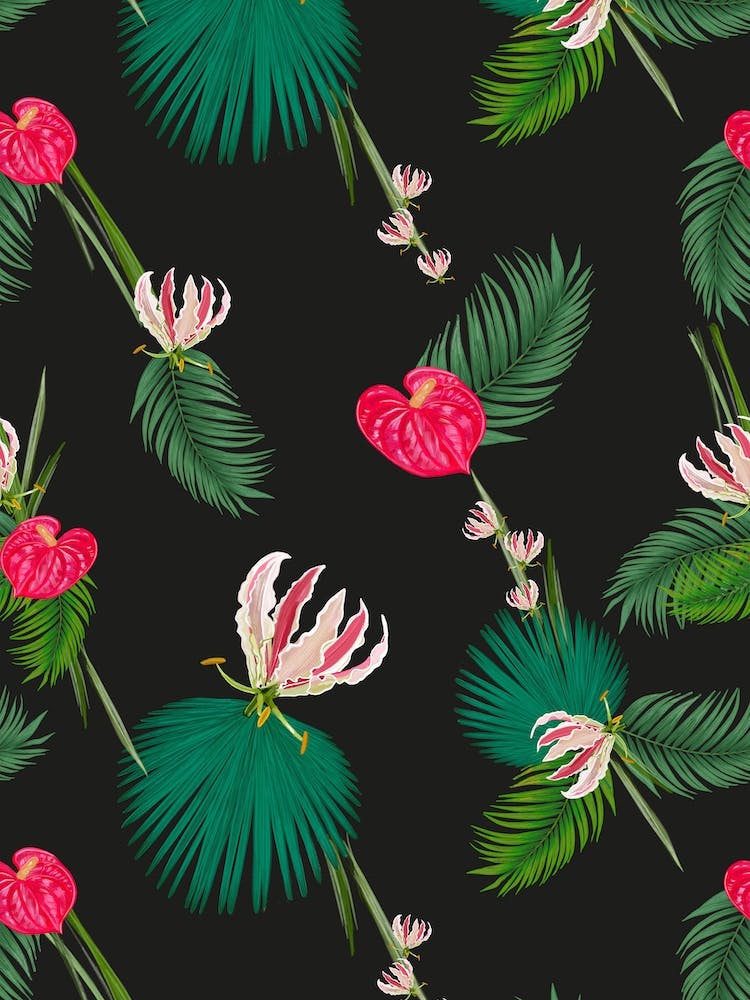 Anthurie rosa Blumen