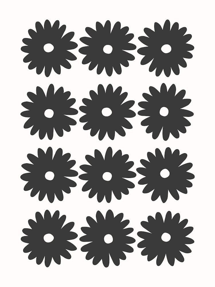 Daisy Black & White