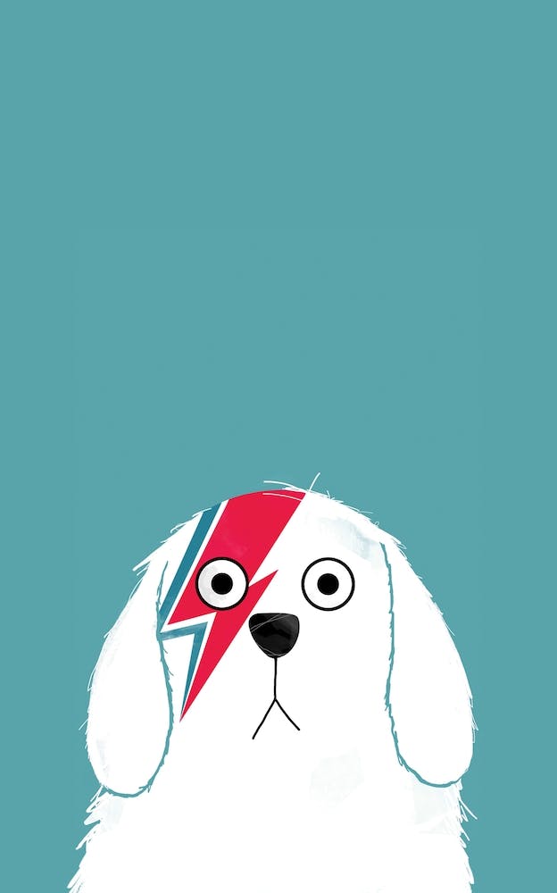 Dog Bowie White