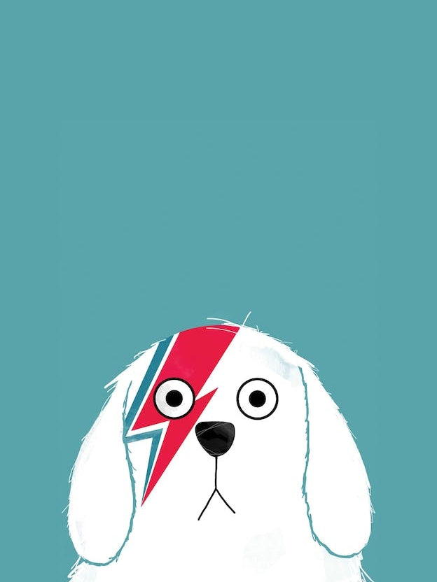 Dog Bowie White