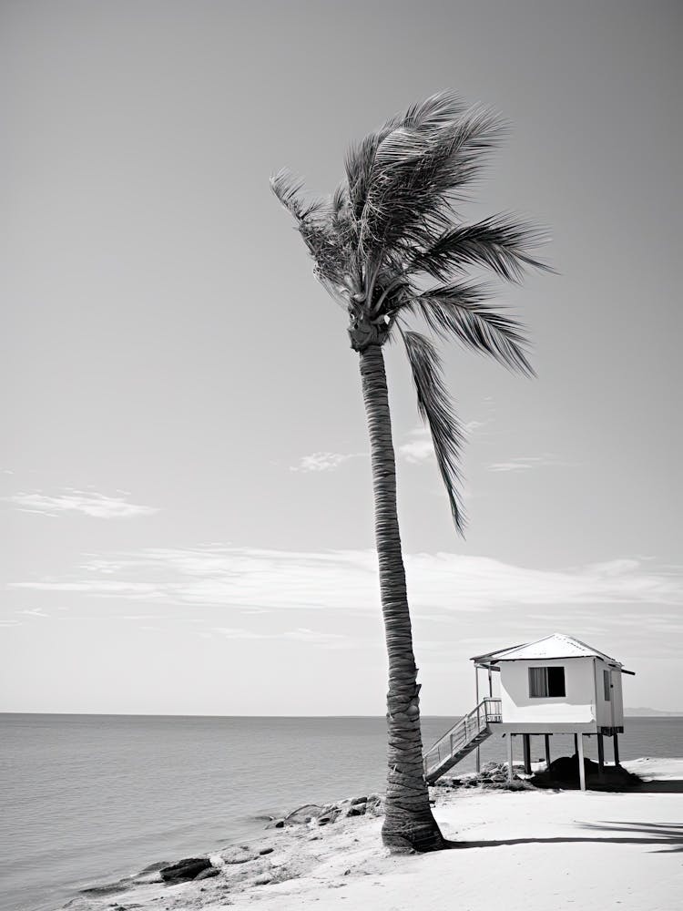 Hurghada, Egypt, Black And White Photography 1