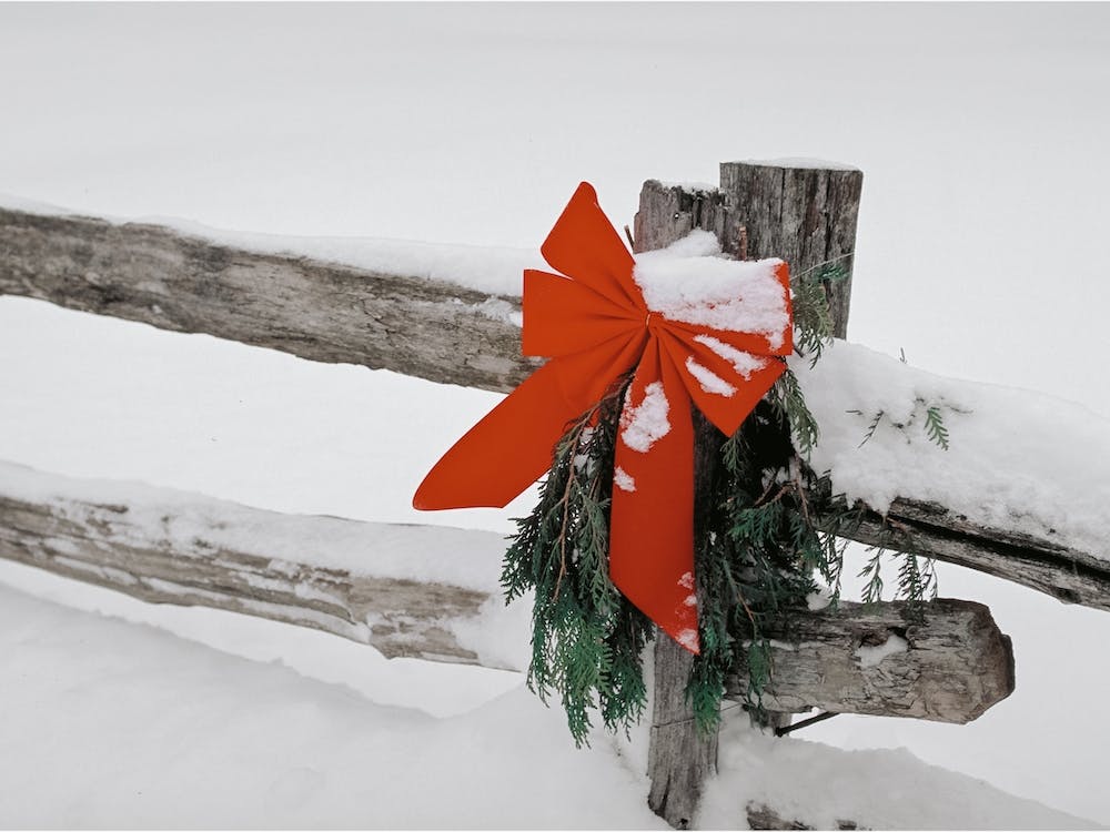 Christmas Fence Post