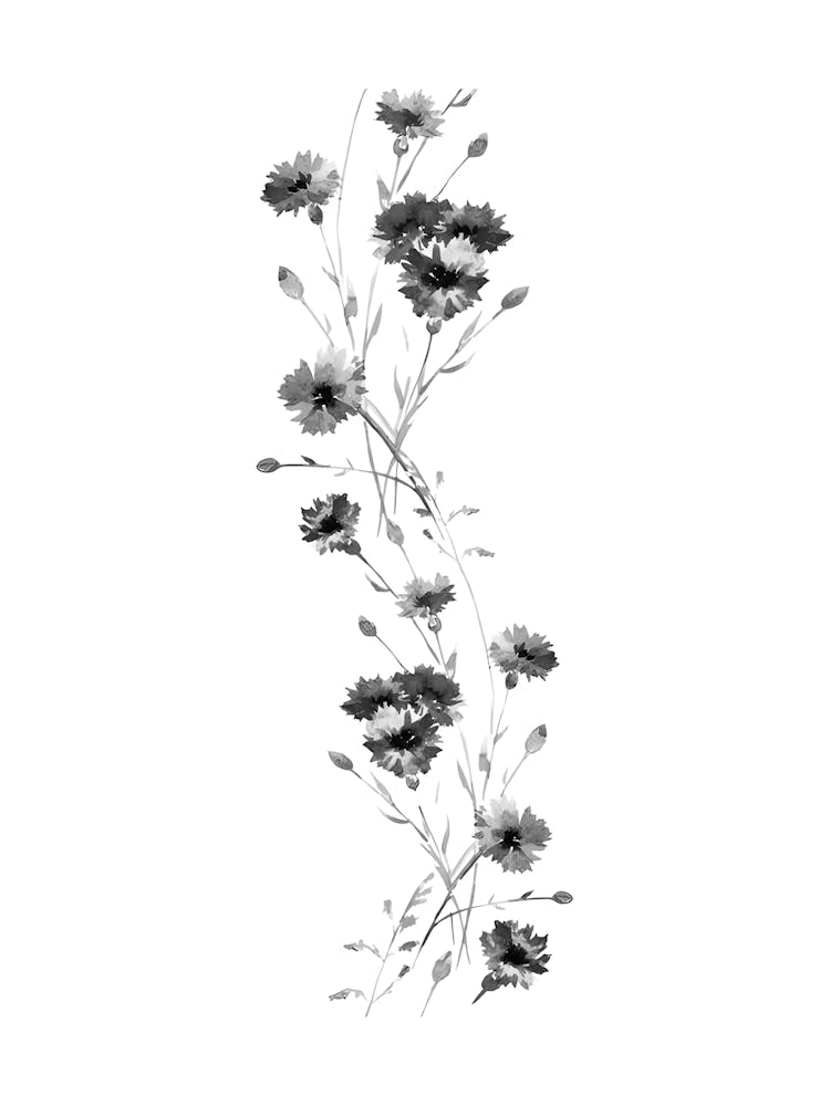 Fleurs Noir Et Blanc 2