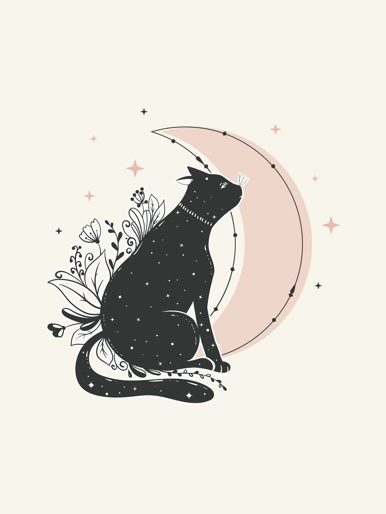 Cat On The Moon