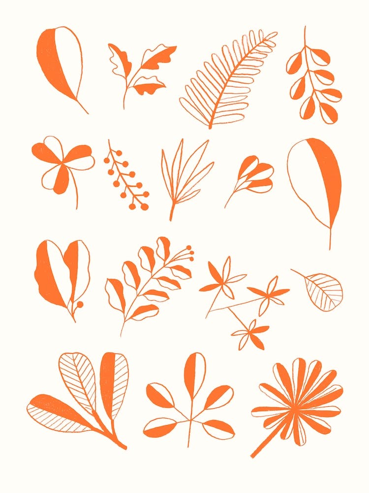 Leaves Orange