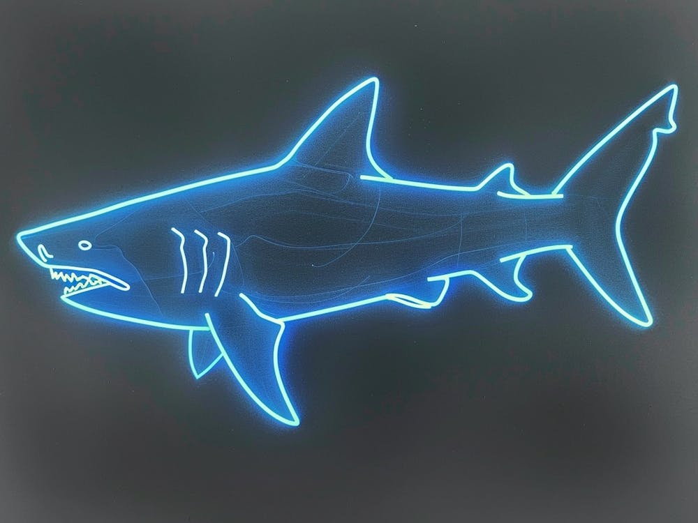 Neon Aqua Wobbegong Shark 3