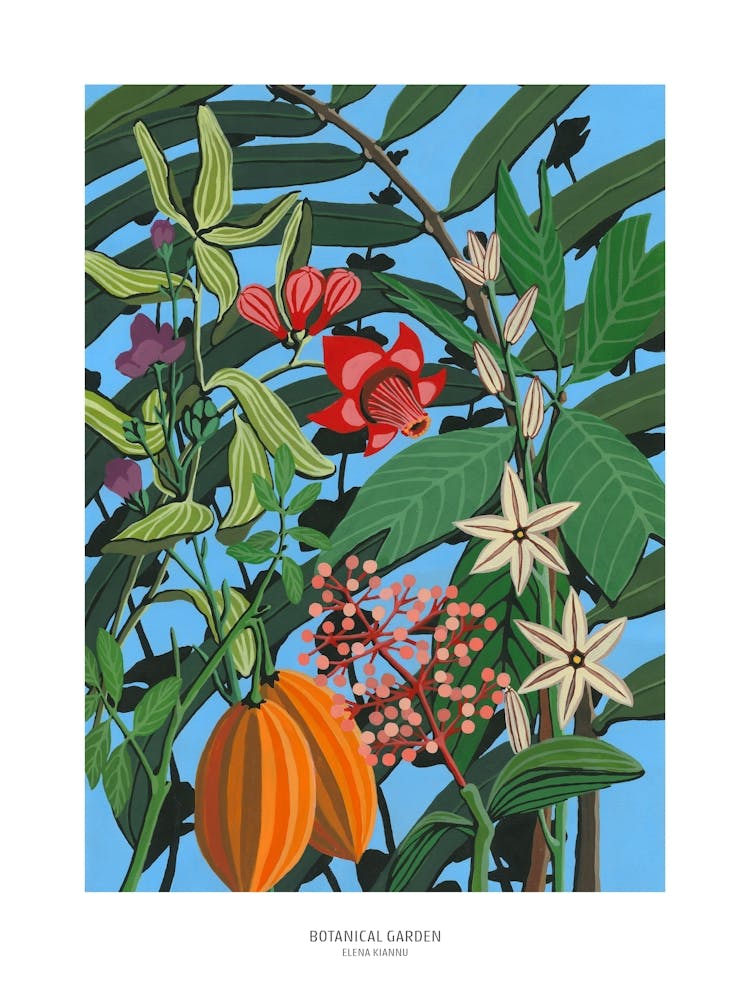 Botanical Garden poster 30x40cm 1