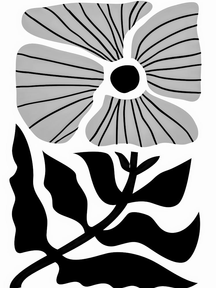 Black And White Flower 54