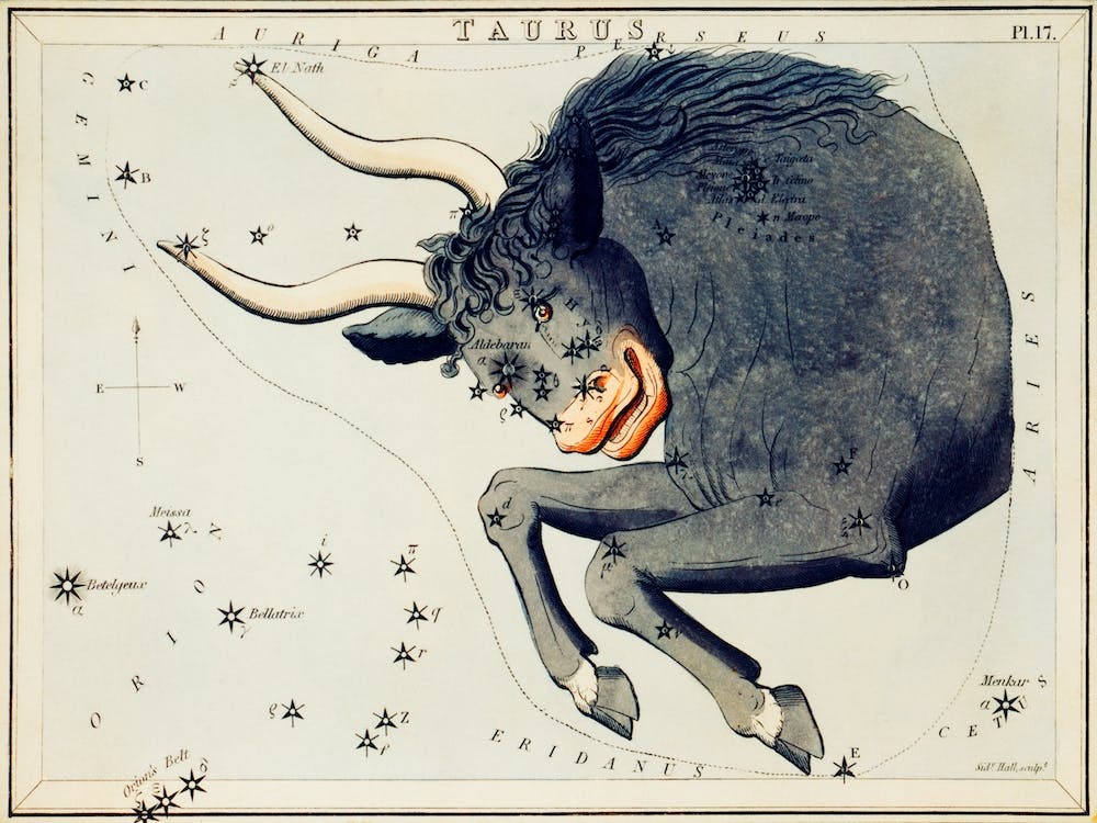 Taurus, Sidney Hall