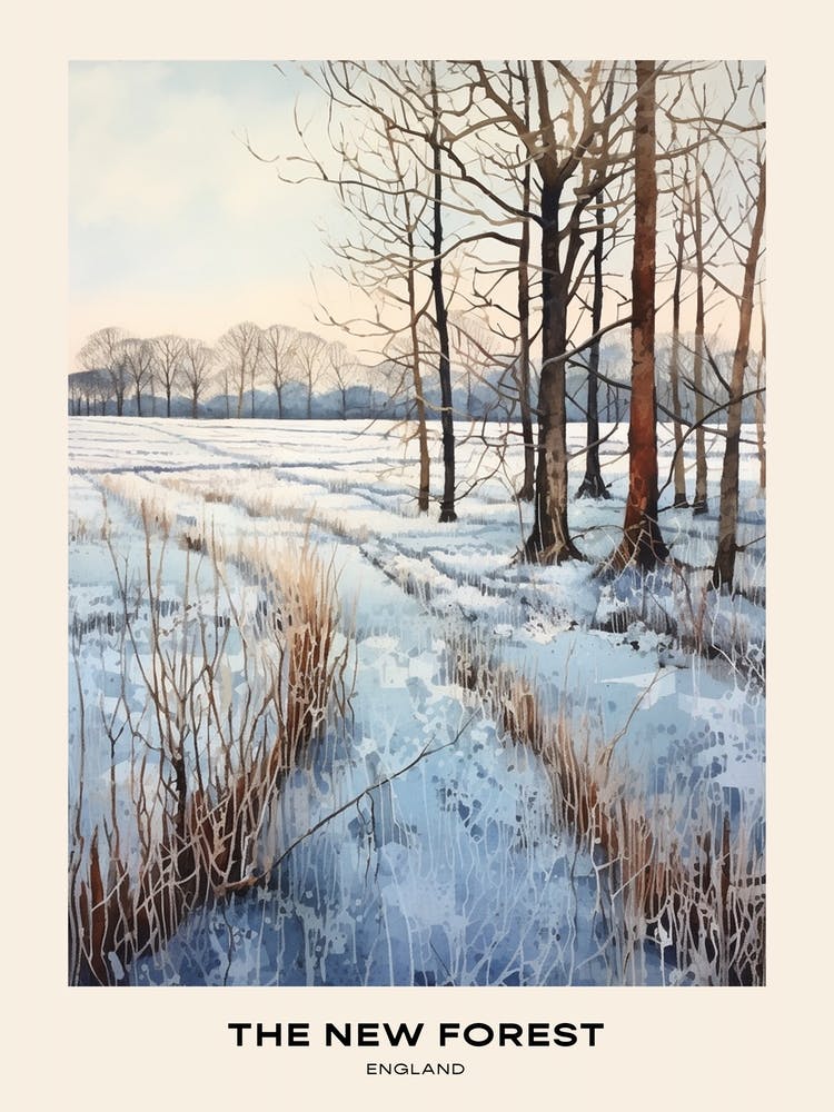 The New Forest England 4 Poster