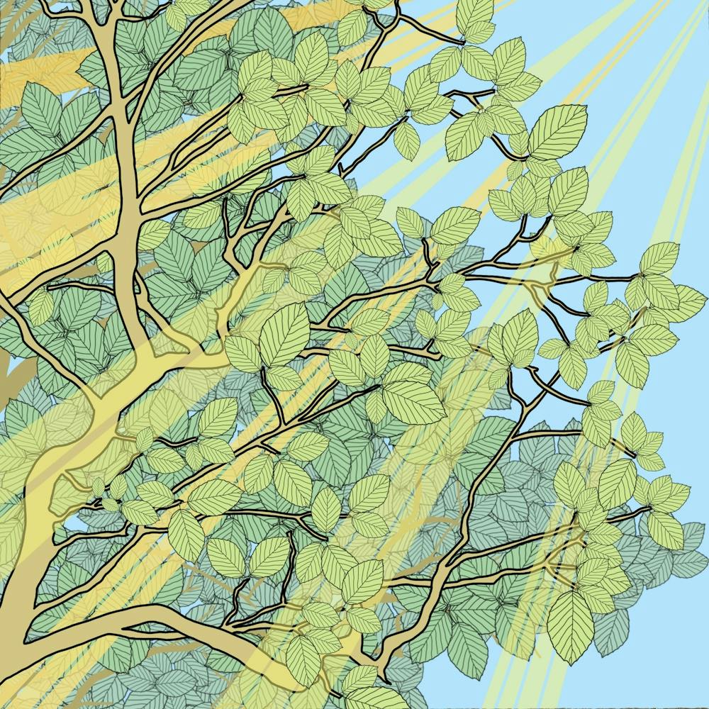 Sunny Trees
