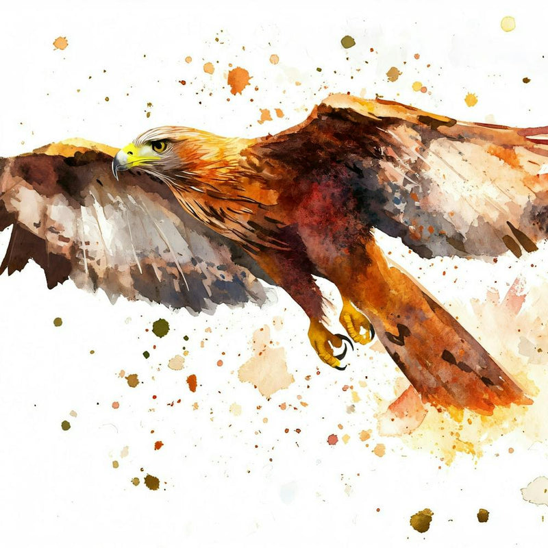 Red Kite Watercolor Painting 1