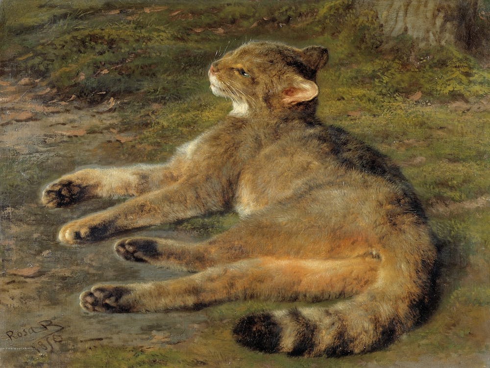 Wild Cat, Rosa Bonheur