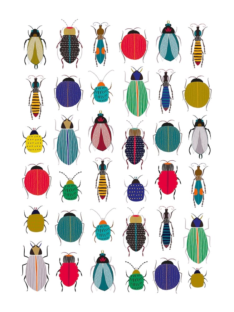 Bug Collection