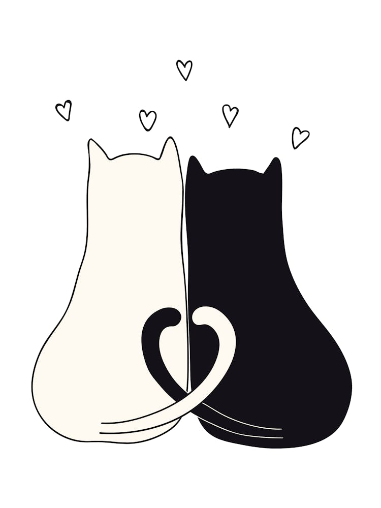 Two Cats In Love