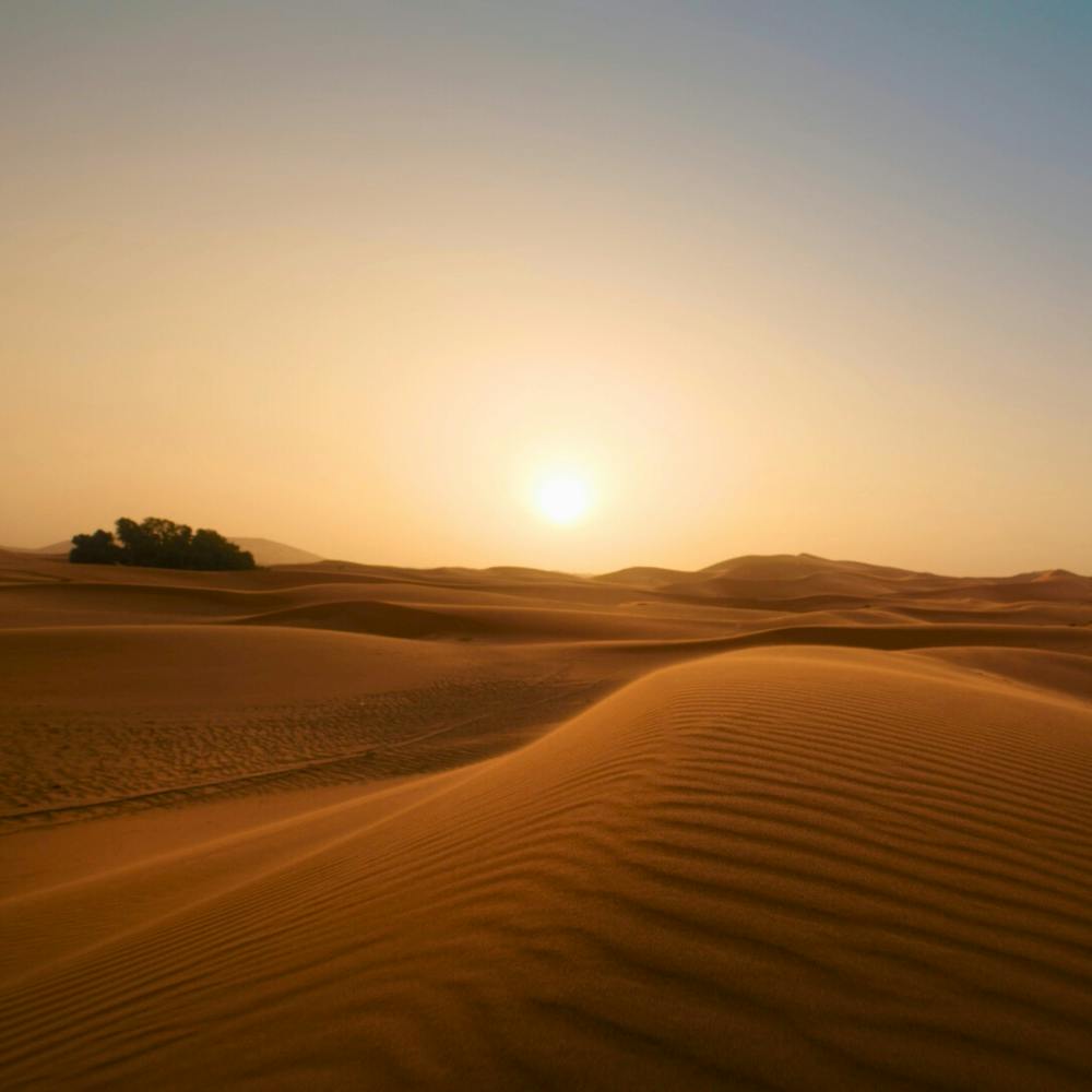 Sunset In The Desert