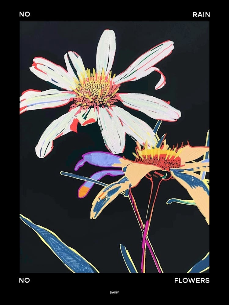 No Rain No Flowers Poster Daisy 1