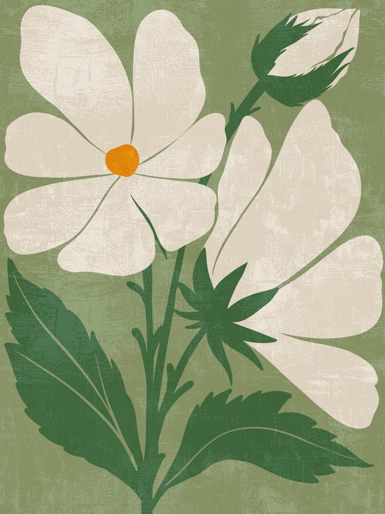 White Flowers Canvas Print 1