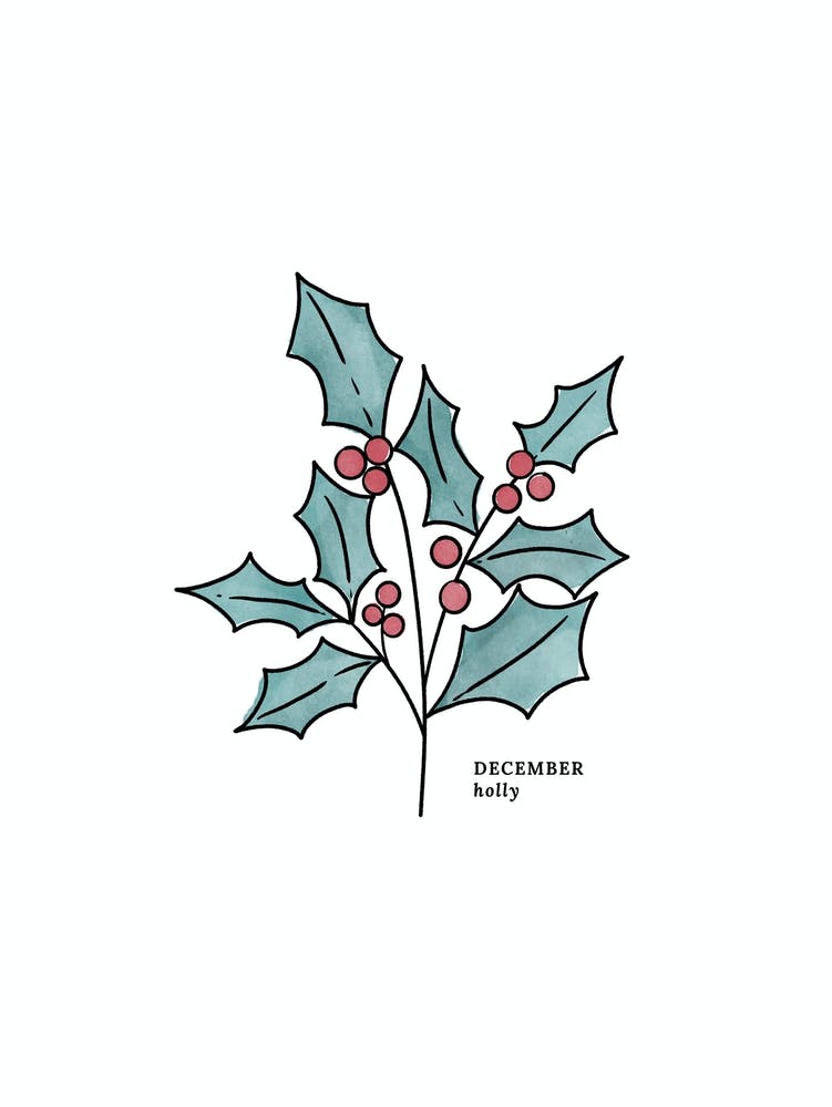 December Holly Birth Flower