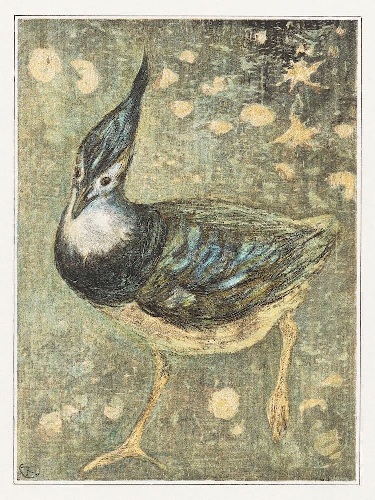 Kievit (1878–1908), Theo Van Hoytema