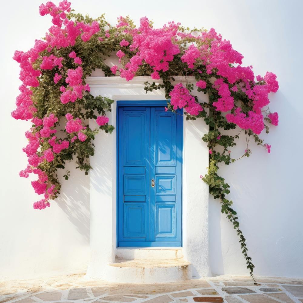 Blue Door With Pink Bougainvillea