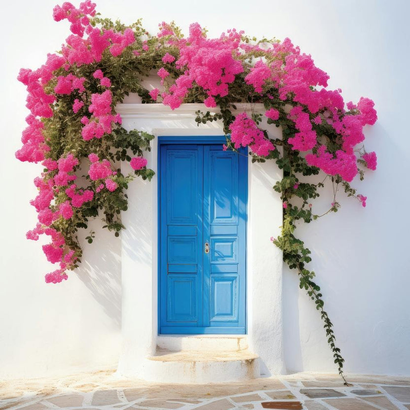 Blue Door With Pink Bougainvillea