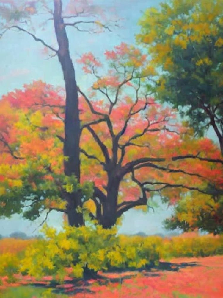 Spanish Oak Tree Watercolour