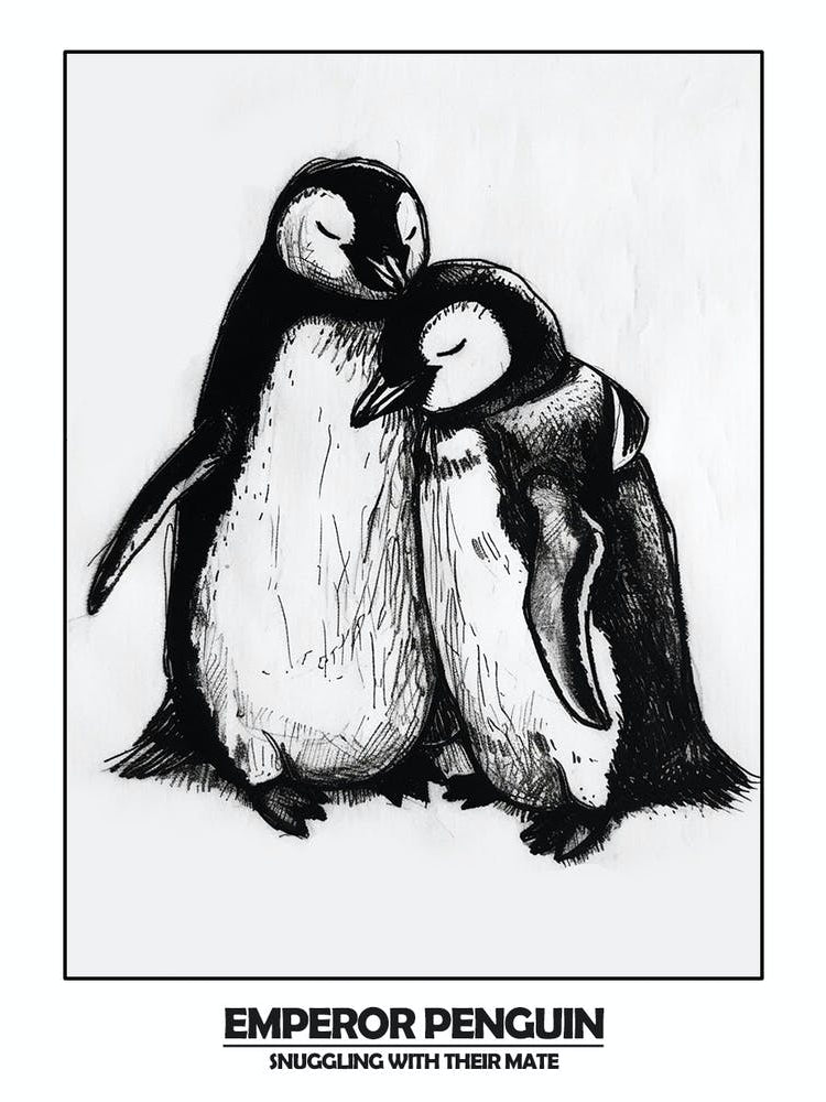 Penguin Snuggling With Their Mate Poster 1