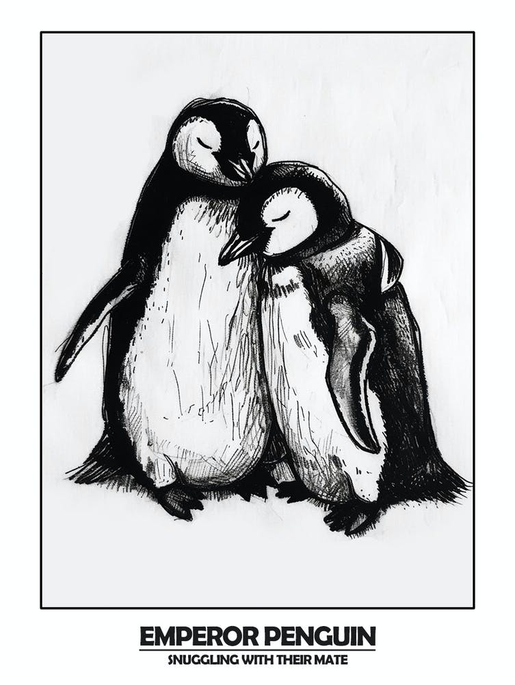 Penguin Snuggling With Their Mate Poster 1